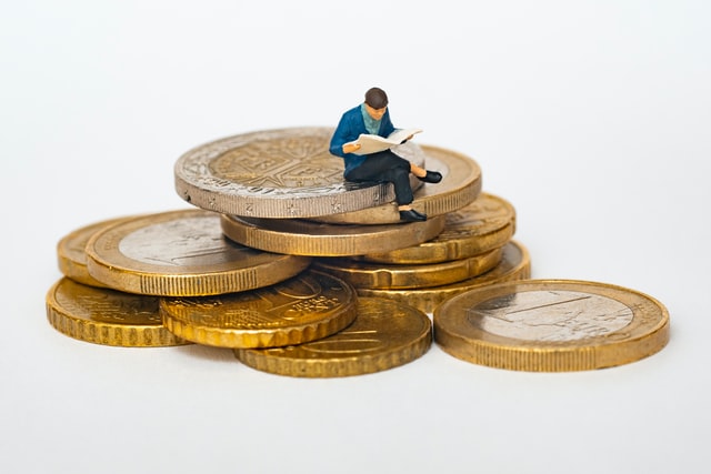 papernate articles by shah mehreen, the cost we pay, economics