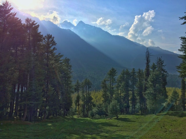 papernate articles by shah mehreen srinagar Kashmir tour packages Kashmir holiday packages holidays in kashmir Tour operator in Kashmir places to visit in kashmir
